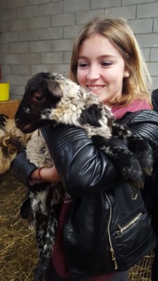 Section S Pays Basque (2)