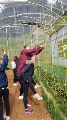 Section S Pays Basque (5)