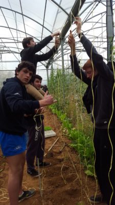 Section S Pays Basque (6)