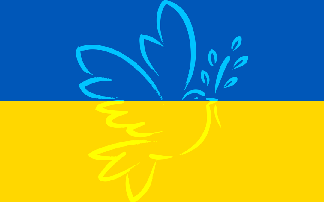 Remise des dons en faveur de l’Ukraine