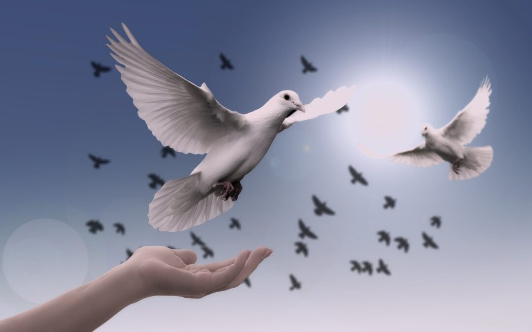 Camp Mission au lycée ! ANIMO !