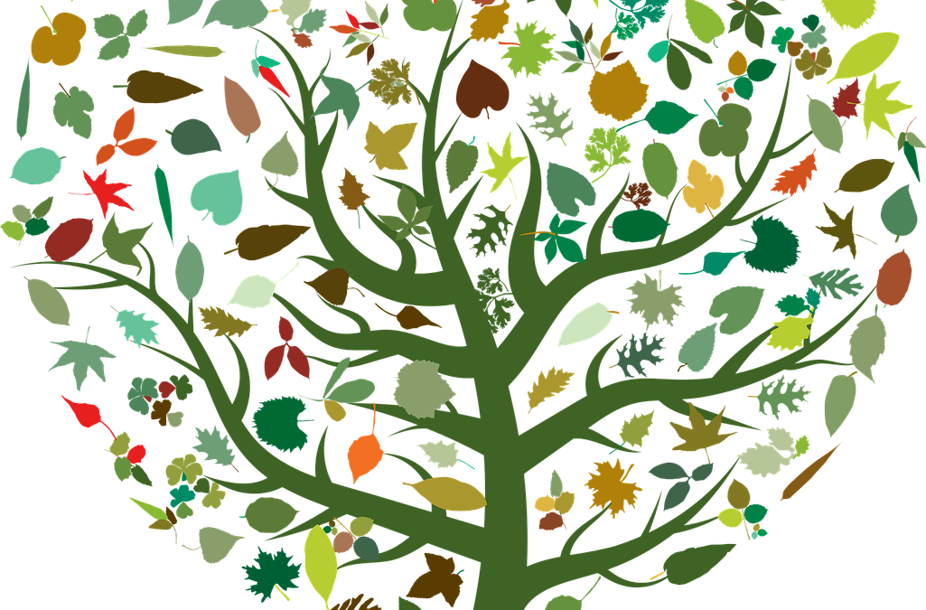 Ecoginkana : un jeu de piste en espagnol pour sensibiliser aux enjeux écologiques